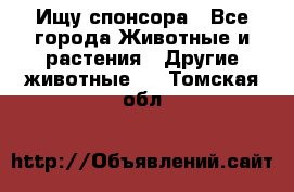 Ищу спонсора - Все города Животные и растения » Другие животные   . Томская обл.